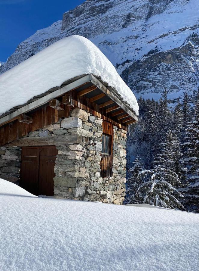 Hotel L'Edelweiss برالونيان-لا-فانواز المظهر الخارجي الصورة