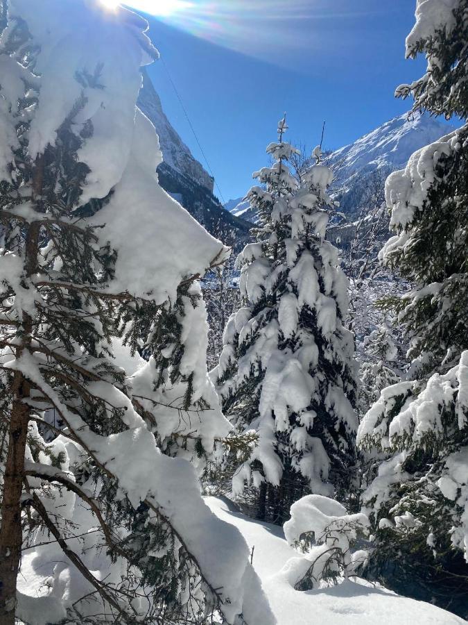 Hotel L'Edelweiss برالونيان-لا-فانواز المظهر الخارجي الصورة