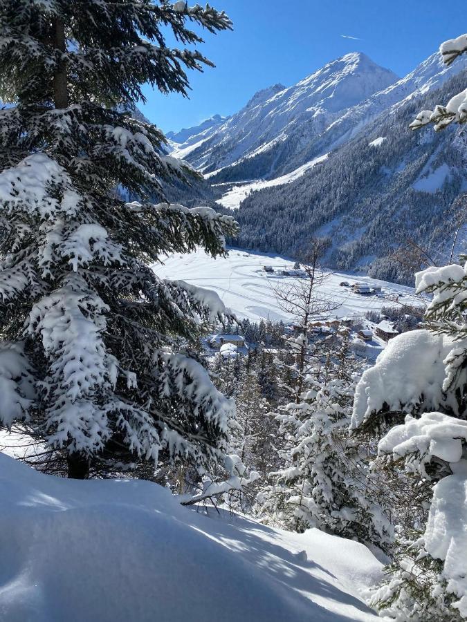 Hotel L'Edelweiss برالونيان-لا-فانواز المظهر الخارجي الصورة